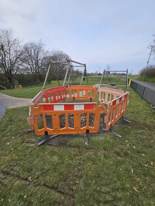 20250310 143815 resized