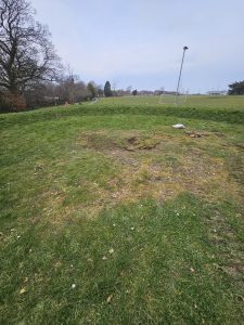 20250310 143918 resized