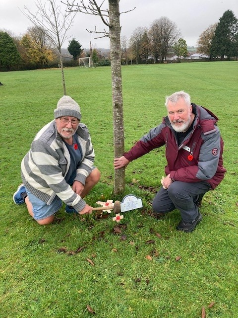 Cllr. D. Cole and Cllr. J. Tadman plcing poppy crosses at the trees in Stanhope Park for Remembrance Da