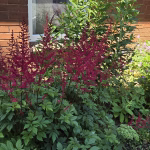 Photo of Densham Court Garden.